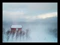 troph-scarsassistant-assistants-music-video.html