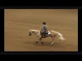 Streakin Catalyst 2007 AQHYA World Show Preliminary Run Streakin Catalyst 2007 AQHYA World Show Preliminary Run