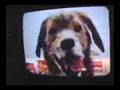 The VHS Show - THE OSTERMAN WEEKEND