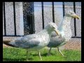 Wales 2010