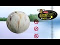 Berkley Buzz Bait - Carp-Baits Berkley Buzz Bait - Carp-Baits