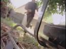 THREAT \"Let The Dogs Loose\" NEVER SEEN DIRECTOR\ THREAT \"Let The Dogs Loose\" NEVER SEEN DIRECTOR\