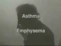 Indoor Air Quality Video and DVD