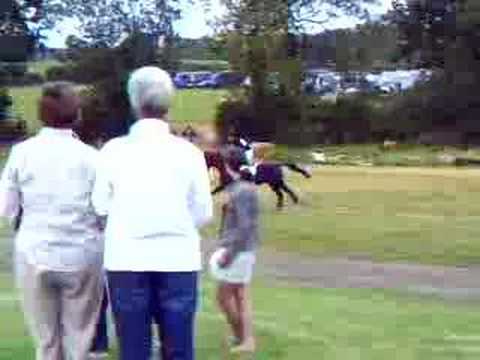 William fox pitt cross country
