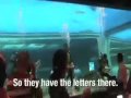 Epson Philippines took a dip at Manila Ocean Park