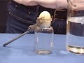 初中科學趣味實驗-物質的粒子觀-壓強，熱脹冷縮-雞蛋入樽 Egg into bottle