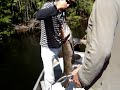 trair�o no Par� 10kg
