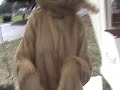 Meowth - I am not a crook