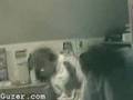 Assistir ao vídeo