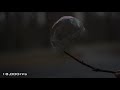 I liked a @YouTube video from @gavinfree http://t.co/GZmUqSonXA Bubble bursting at 18,000fps - The Slow Mo Guys