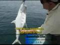 Art of Sport Fishing 2/3 - Pesca Esportiva [leg]