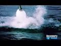 Tubar�o atacando foca