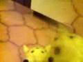 Pikachus Suicide 