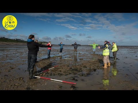 Archaeologists Hunting WWII Relics Accidentally Unearthed An Incredible 16th century Shipwreck