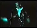 Maciej Miecznikowski jako Elvis