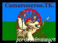 tomatito juan habichuela carmen linares homenaje a camaron
