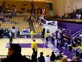 JMU Duke Dog