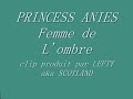 clip produit par lefty aka scotland. princess ani�s - titre : femme de l'ombre . album ma p'tite histoire . mix� par dj akil