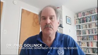 Message from Dr. Paul Gollnick, Chair