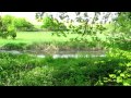 Geocache - Bei den Wassern
