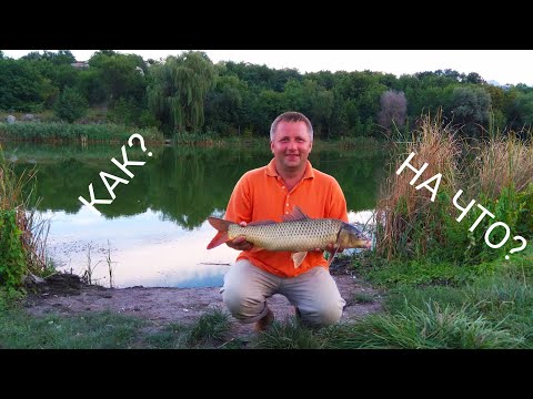 поплавочная рыбалка на сазана видео поплавочная рыбалка на сазана видео