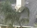 windy storm (6-12-07)