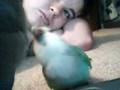 videos de Peter & Zsigy sparring