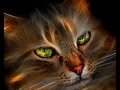 Source Dedicated Server - Getting your server + enable it for other players