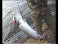 mumtaz mamo shikaree ke machee (fish) 1