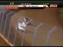 2008 WoO Sprint Cars Vault World Finals at Charlotte Part 2 of 3
