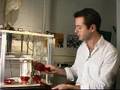 Dishmaker...