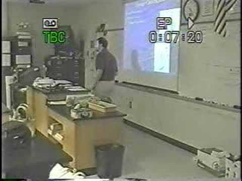 3 Porifera classification