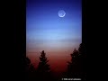 The Ventures Sleepwalk