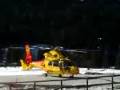 videos de dauphin trento 1