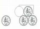 Coin Puzzle Solution