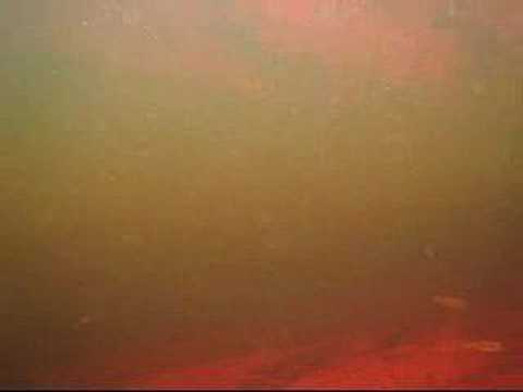 The World of Negro River 2