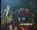 TROPICAL BEACH PARTY 5