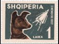 Laika, Come Home