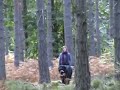 Henry in Slo-mo