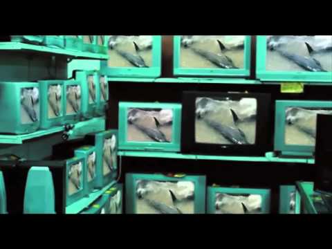 Imagem de Amostra do You Tube