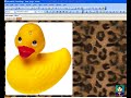 PhotoShop Tips: Magic Erasers and Transparent GIF\