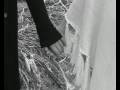 Nenormalus video