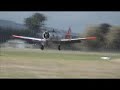Harvards at Waikato Aero Club 15-04-2007 Beautiful Noise