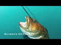 Spearfishing Carmel "Men of Action" - by Dan Silveira