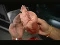 Bizarre foods