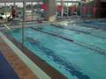 videos de 50m Libre 3ª Serie Adupri 2008