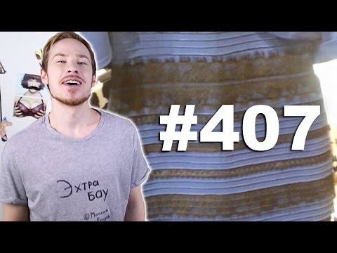 This is Хорошо - Чайка-гонщик. о∟о
