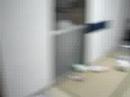 Os caras destruindo meu ap