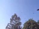Feeling a little Tippi Hedren
