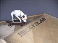 Skateboarding Dog